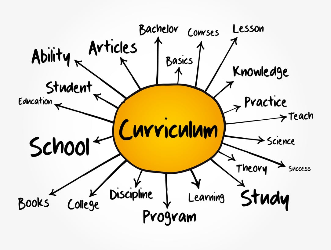 Curriculum standards What are educational standards and curricula?