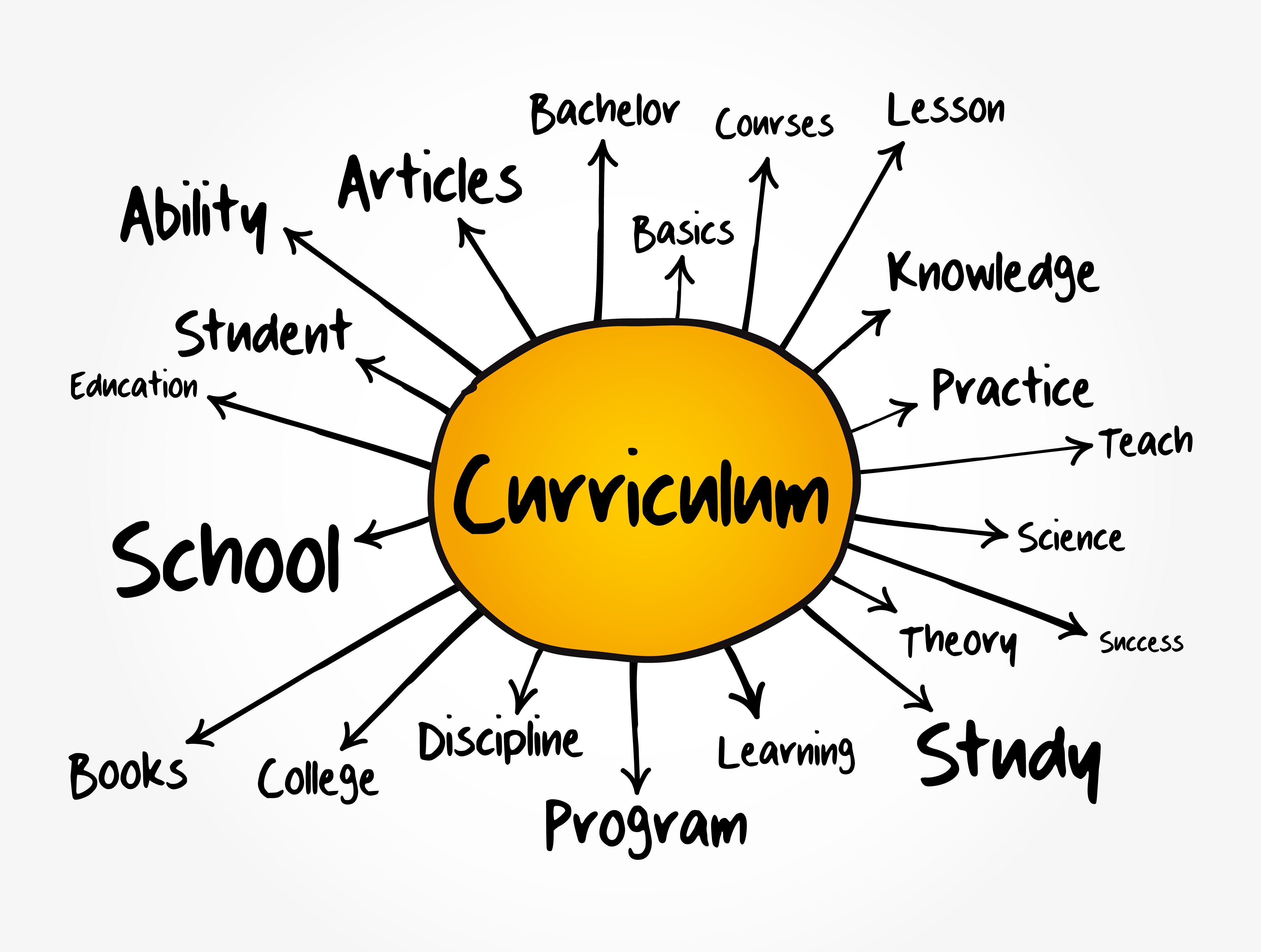 Curriculum standards: What are educational standards and curricula?